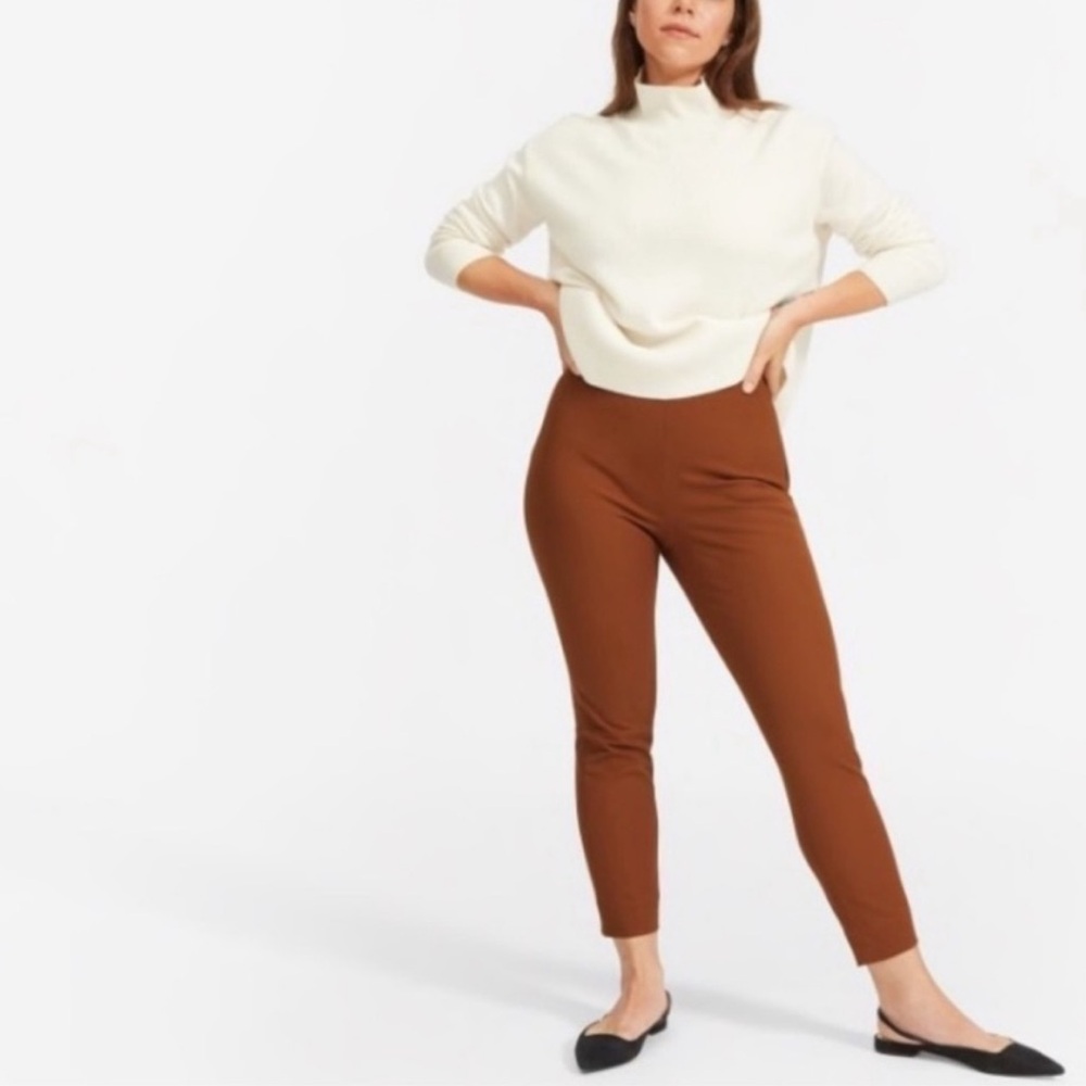 Everlane The Side Zip Pants in Rustic Orange